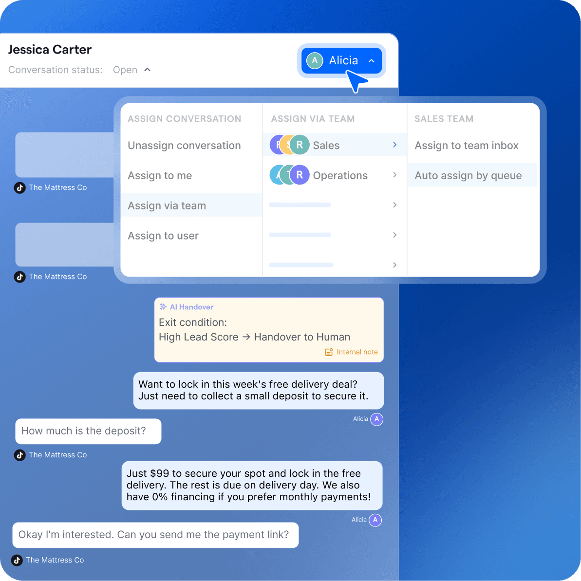 tiktok messaging ads use case 3